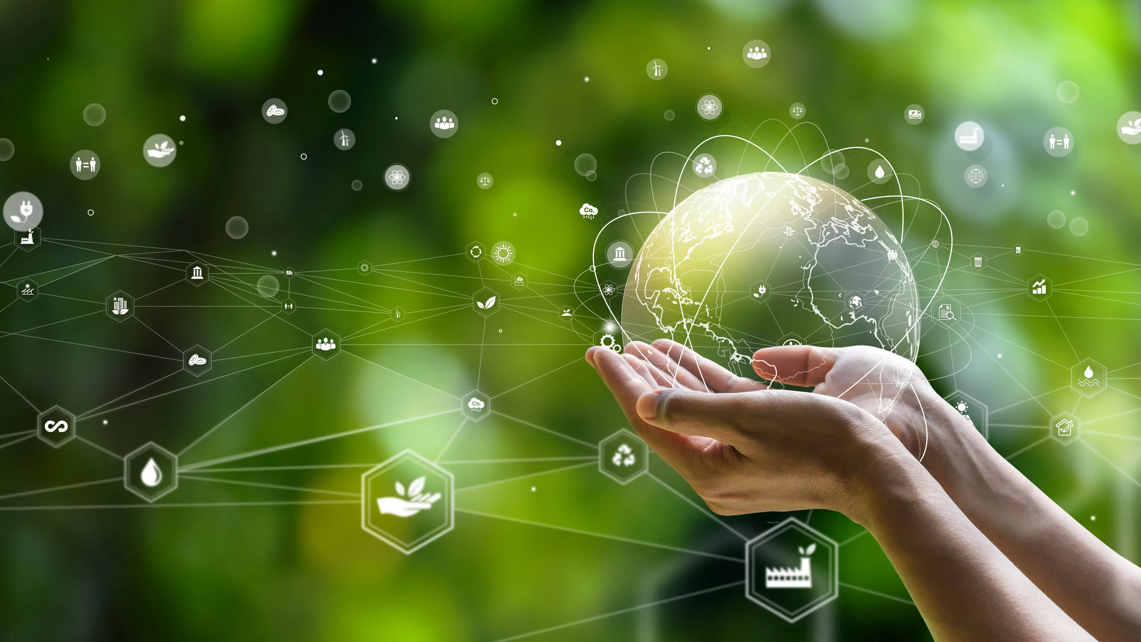 We build web solutions.